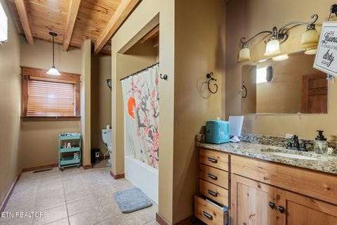 Tiny photo for 215 Mize Ct. Court, Tellico Plains, TN 37385 (MLS # 1319751)