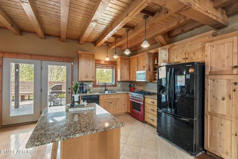 Tiny photo for 215 Mize Ct. Court, Tellico Plains, TN 37385 (MLS # 1319751)