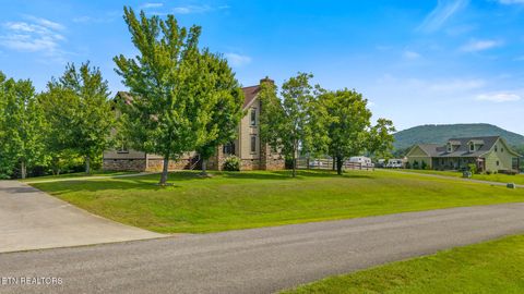 Tiny photo for 215 Mize Ct. Court, Tellico Plains, TN 37385 (MLS # 1319751)