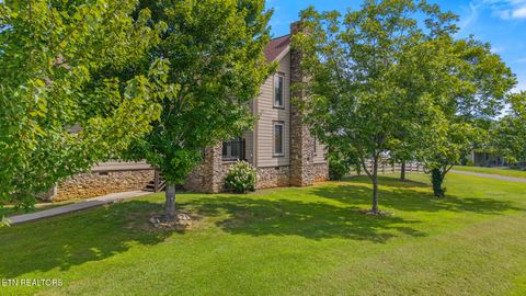 Tiny photo for 215 Mize Ct. Court, Tellico Plains, TN 37385 (MLS # 1319751)