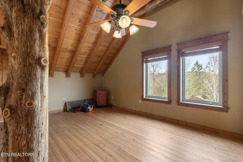 Tiny photo for 215 Mize Ct. Court, Tellico Plains, TN 37385 (MLS # 1319751)