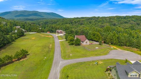 Tiny photo for 215 Mize Ct. Court, Tellico Plains, TN 37385 (MLS # 1319751)