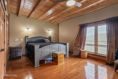 Tiny photo for 215 Mize Ct. Court, Tellico Plains, TN 37385 (MLS # 1319751)