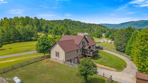 Tiny photo for 215 Mize Ct. Court, Tellico Plains, TN 37385 (MLS # 1319751)
