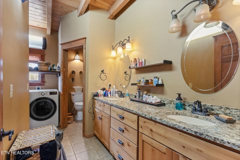 Tiny photo for 215 Mize Ct. Court, Tellico Plains, TN 37385 (MLS # 1319751)