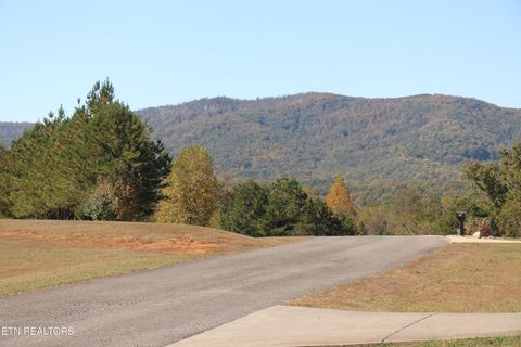 Tiny photo for 215 Mize Ct. Court, Tellico Plains, TN 37385 (MLS # 1319751)