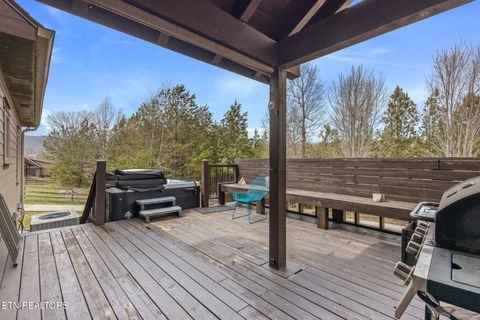 Tiny photo for 215 Mize Ct. Court, Tellico Plains, TN 37385 (MLS # 1319751)