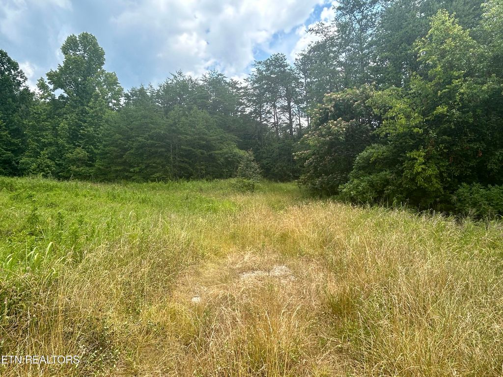 Photo of Belltown Rd, Tellico Plains, TN 37385 (MLS # 1266704)