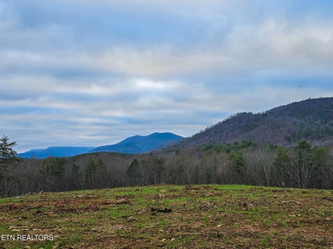 Tiny photo for 624 Creek Rd, Reliance, TN 37369 (MLS # 1357413)