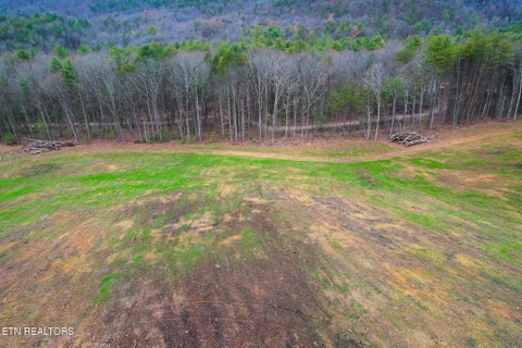 Tiny photo for 624 Creek Rd, Reliance, TN 37369 (MLS # 1357413)