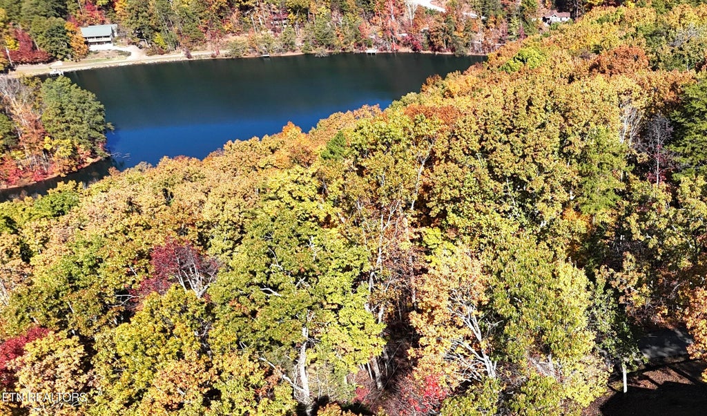 Photo of 207 Laurel Mountain Rd, Madisonville, TN 37354 (MLS # 1354716)