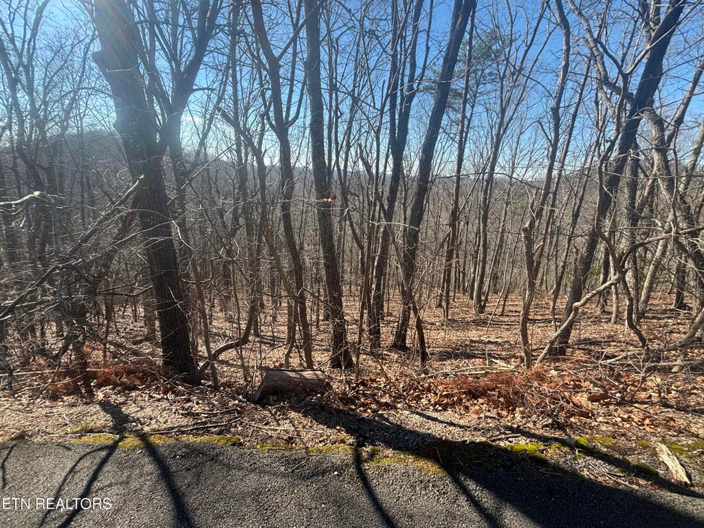 Photo of 207 Laurel Mountain Rd, Madisonville, TN 37354 (MLS # 1354716)