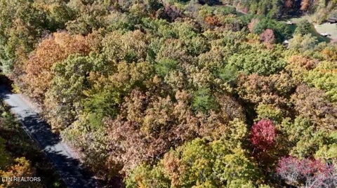 Photo of 207 Laurel Mountain Rd, Madisonville, TN 37354 (MLS # 1354716)