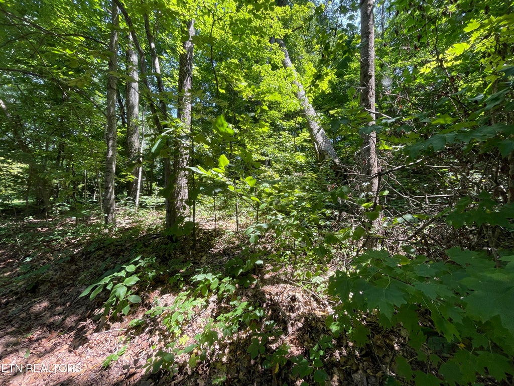 Photo of 3320 Gumstand Drive, Powell, TN 37849 (MLS # 1301724)