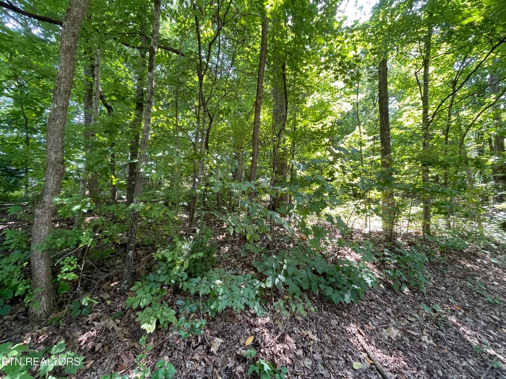 Photo of 3320 Gumstand Drive, Powell, TN 37849 (MLS # 1301724)
