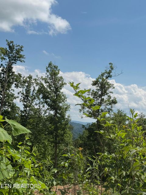Photo of Tower Rd, Tazewell, TN 37879 (MLS # 1347765)