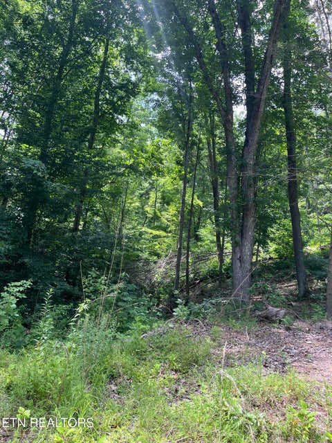 Tiny photo for Tower Rd, Tazewell, TN 37879 (MLS # 1347765)