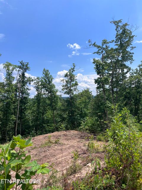 Tiny photo for Tower Rd, Tazewell, TN 37879 (MLS # 1347765)