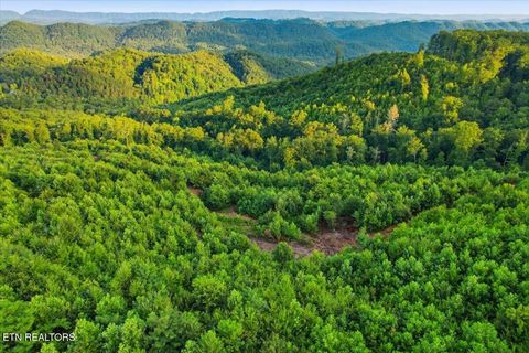 Tiny photo for Tower Rd, Tazewell, TN 37879 (MLS # 1347765)