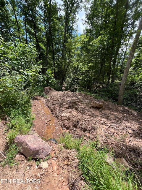 Tiny photo for Tower Rd, Tazewell, TN 37879 (MLS # 1347765)