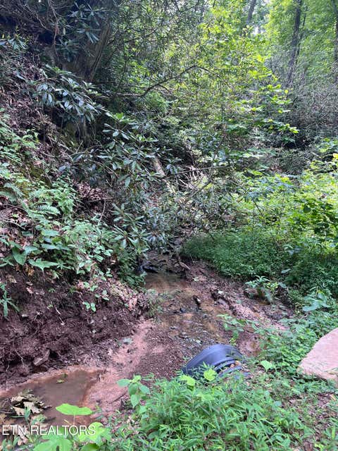 Tiny photo for Tower Rd, Tazewell, TN 37879 (MLS # 1347765)