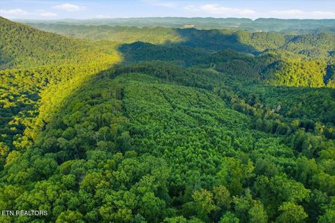 Tiny photo for Tower Rd, Tazewell, TN 37879 (MLS # 1347765)