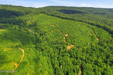 Tiny photo for Tower Rd, Tazewell, TN 37879 (MLS # 1347765)