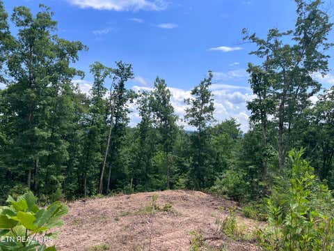 Tiny photo for Tower Rd, Tazewell, TN 37879 (MLS # 1347765)