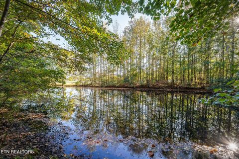 212 Park Rd Rickman TN 38580