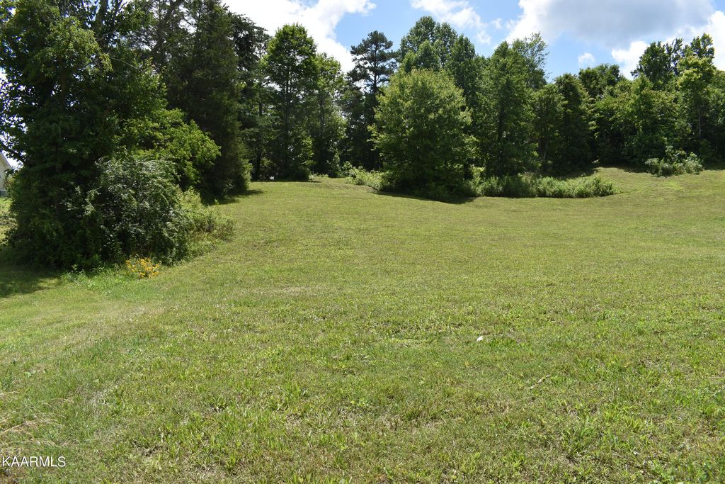 Photo of 9 Briar Ridge Lane, Strawberry Plains, TN 37871 (MLS # 1232852)
