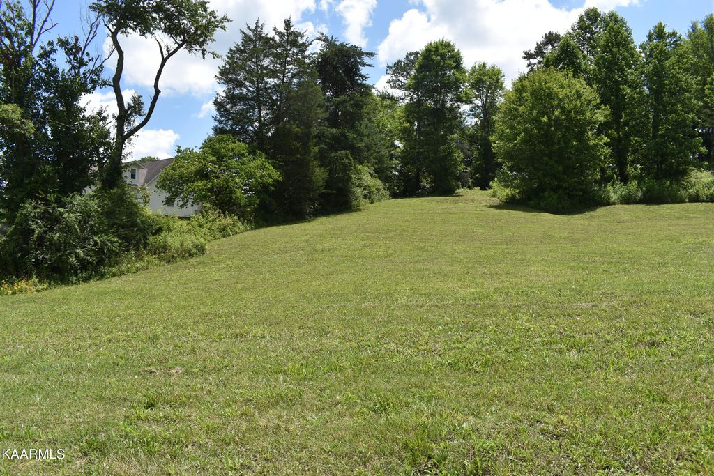 Photo of 9 Briar Ridge Lane, Strawberry Plains, TN 37871 (MLS # 1232852)