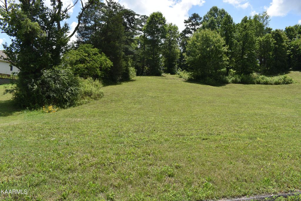 Photo of 9 Briar Ridge Lane, Strawberry Plains, TN 37871 (MLS # 1232852)