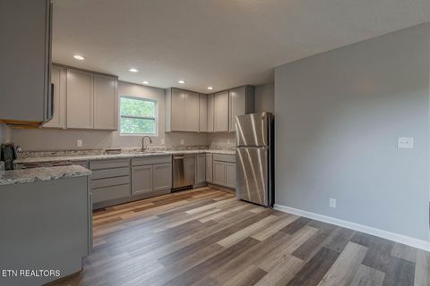 Tiny photo for 327 Rose St, Clinton, TN 37716 (MLS # 1341996)