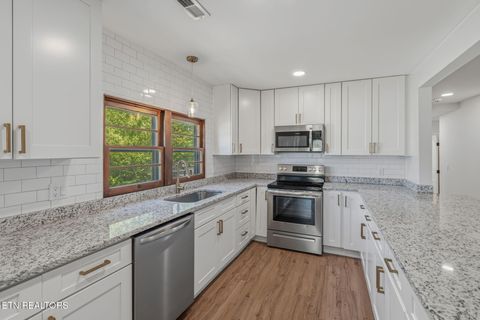 Tiny photo for 2914 Knox Lane, Knoxville, TN 37917 (MLS # 1338502)