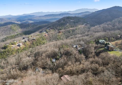 Tiny photo for 2458 Majestic View Way, Sevierville, TN 37862 (MLS # 1325797)
