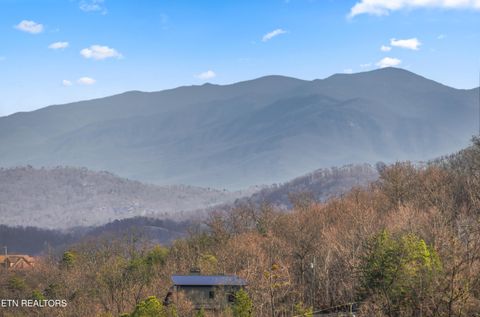 Tiny photo for 2458 Majestic View Way, Sevierville, TN 37862 (MLS # 1325797)