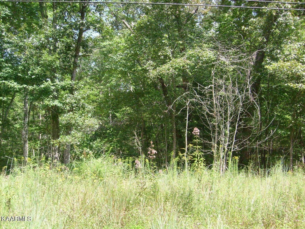 Photo of 6227 Osage Rd, Crossville, TN 38572 (MLS # 1358519)