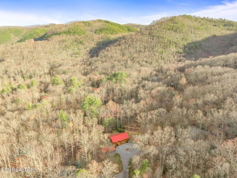 Tiny photo for 3394 Laurelwood Rd, Cosby, TN 37722 (MLS # 1355713)