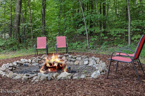 Tiny photo for 3394 Laurelwood Rd, Cosby, TN 37722 (MLS # 1355713)