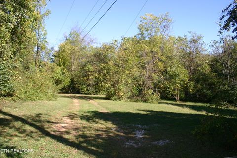 Photo of 1303 Ezell St, Knoxville, TN 37917 (MLS # 1318590)