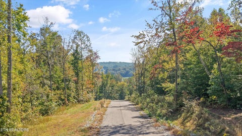 Tiny photo for 167 Canter Way, Lenoir City, TN 37771 (MLS # 1359994)