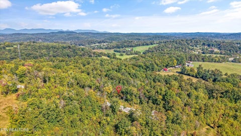 Tiny photo for 167 Canter Way, Lenoir City, TN 37771 (MLS # 1359994)
