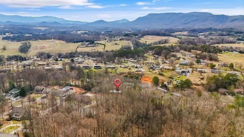 Tiny photo for 1360 Lower English Creek Rd, Newport, TN 37821 (MLS # 1333881)