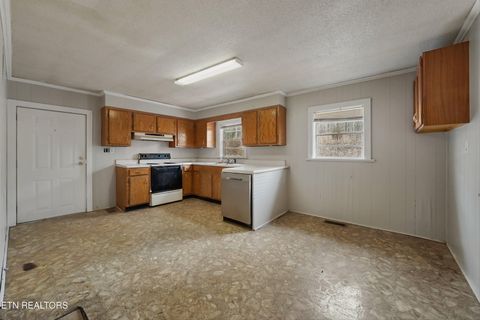 Tiny photo for 1360 Lower English Creek Rd, Newport, TN 37821 (MLS # 1333881)