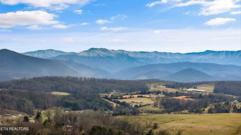 Tiny photo for 1360 Lower English Creek Rd, Newport, TN 37821 (MLS # 1333881)