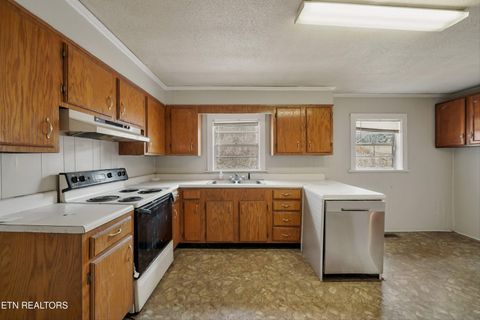 Tiny photo for 1360 Lower English Creek Rd, Newport, TN 37821 (MLS # 1333881)