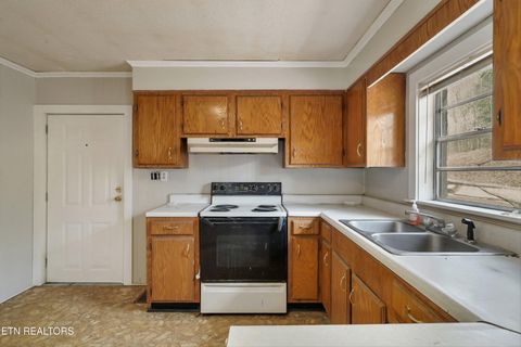 Tiny photo for 1360 Lower English Creek Rd, Newport, TN 37821 (MLS # 1333881)