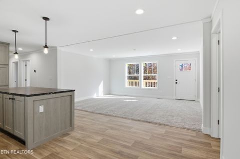 Tiny photo for 360 Tanasi Drive, Newport, TN 37821 (MLS # 1322223)