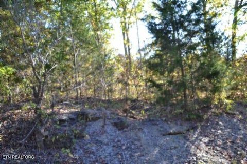 Tiny photo for 796 Old State Hwy 52, Celina, TN 38551 (MLS # 1360298)