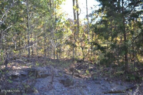 Tiny photo for 796 Old State Hwy 52, Celina, TN 38551 (MLS # 1360298)
